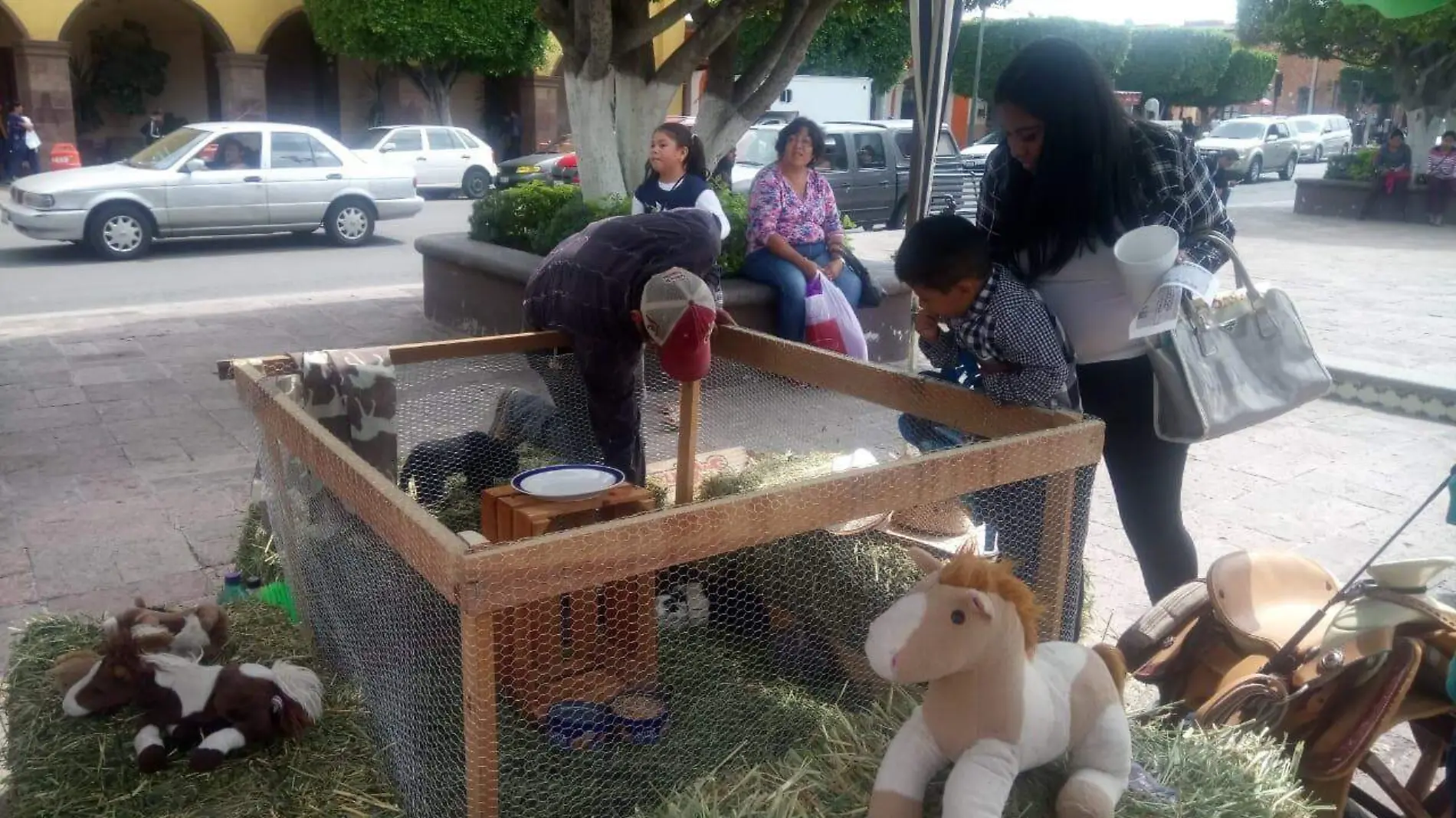 Buscan que a través de campamentos las nuevas generaciones tengan acercamiento a la vida en el campo.  Foto Monsetrrat García.